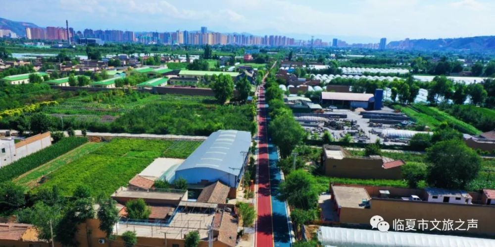 临夏_2025年全年资料免费大全优势,抨击预习详细解答、解释与落实